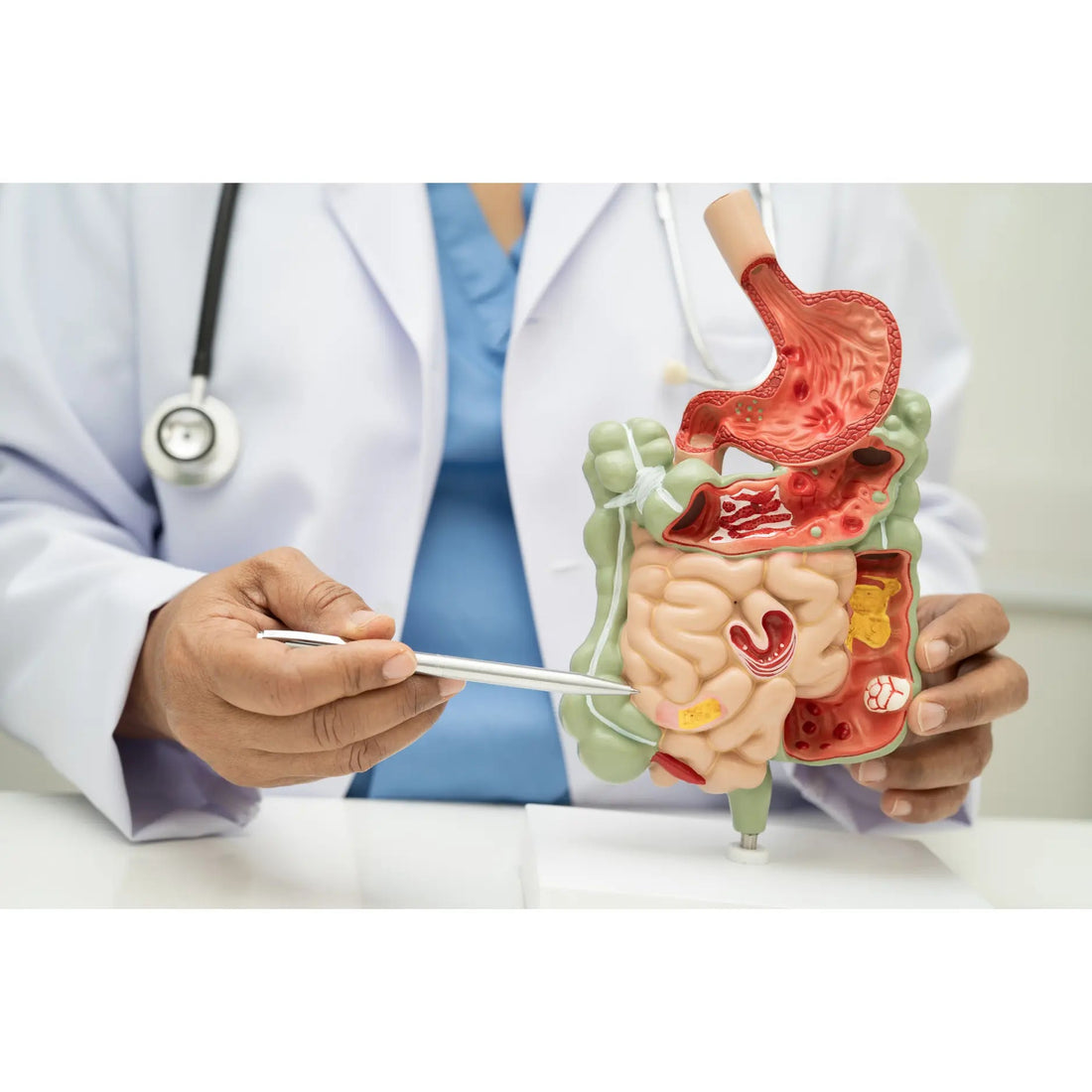 Digestive Health Supplements: Best Options and Benefits - GLOWICA LAB